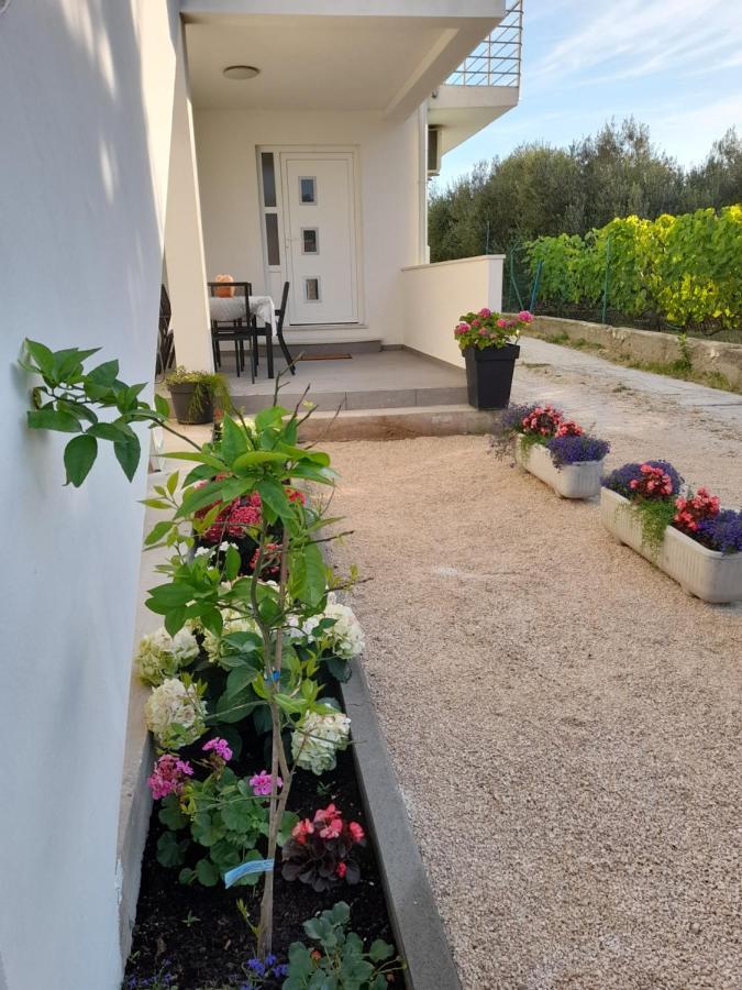 Apartmani Sara Bibinje Exterior foto
