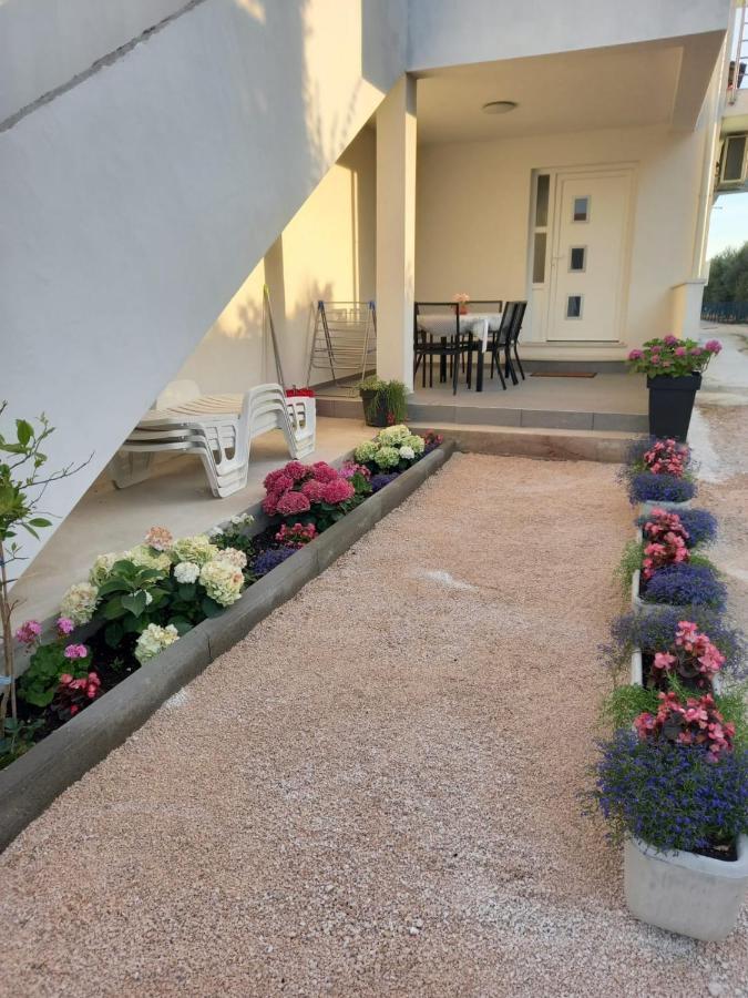 Apartmani Sara Bibinje Exterior foto