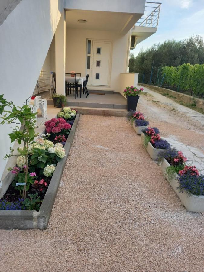 Apartmani Sara Bibinje Exterior foto