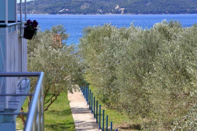 Apartmani Sara Bibinje Exterior foto
